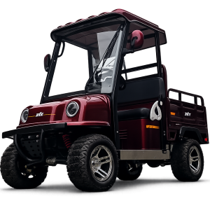 Elektrinis krovininis mini automobilis E-GO C3